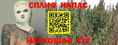 тгк Будённовск
