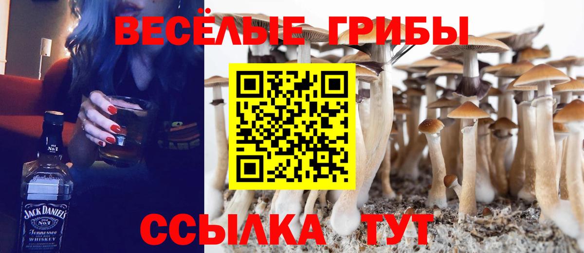 Галлюциногенные грибы ЛСД Чебоксары